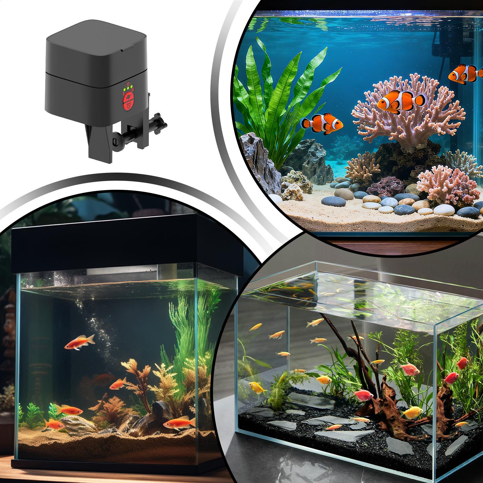เครื่องให้อาหารปลาอัตโนมัติสำห - Fishing Line Dispenser บทวิจารณ์และราคา